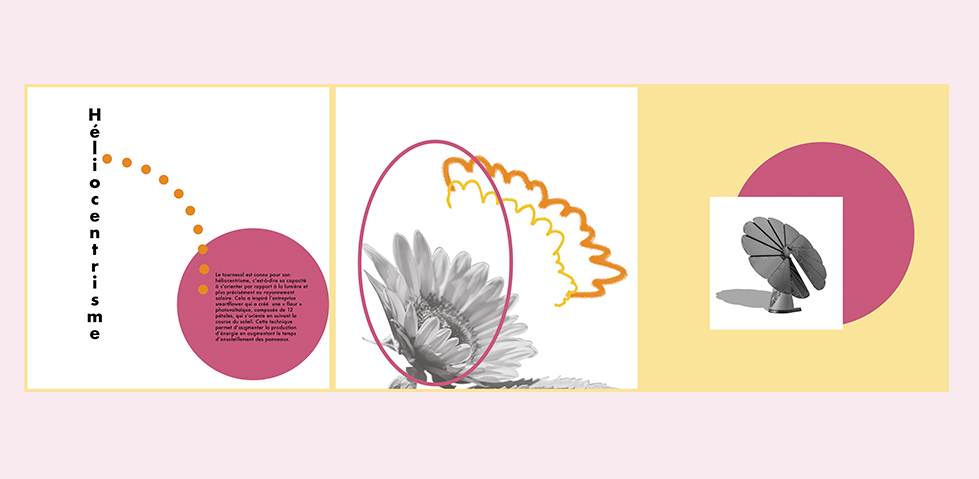 projet biomimétisme smartflower/tournesol