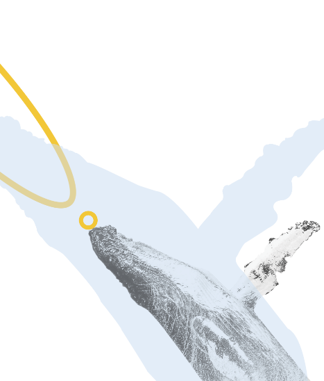 image projet biomimétisme